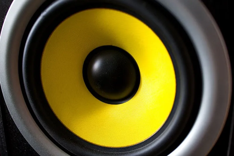 Close up photo of a woofer.