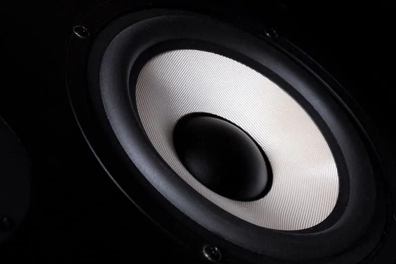 Close up photo of a woofer.