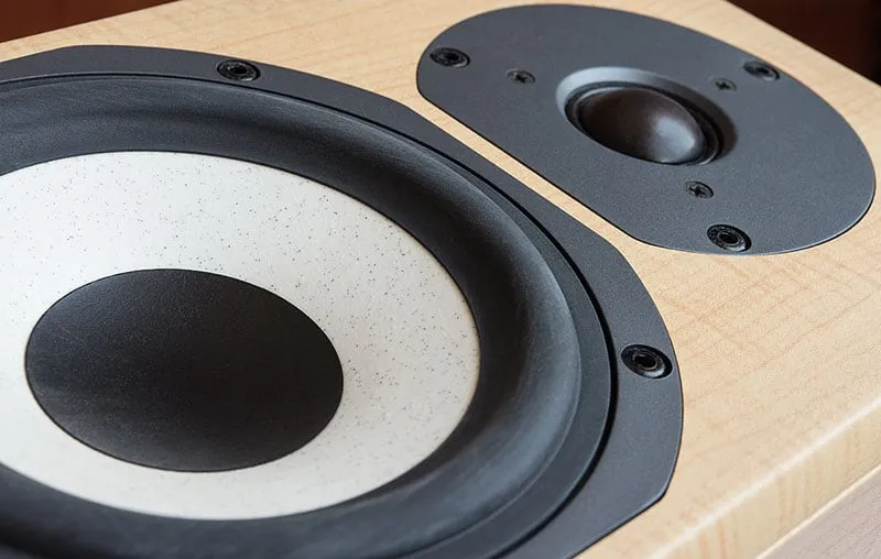Close up photo of a woofer and tweeter on a speaker.
