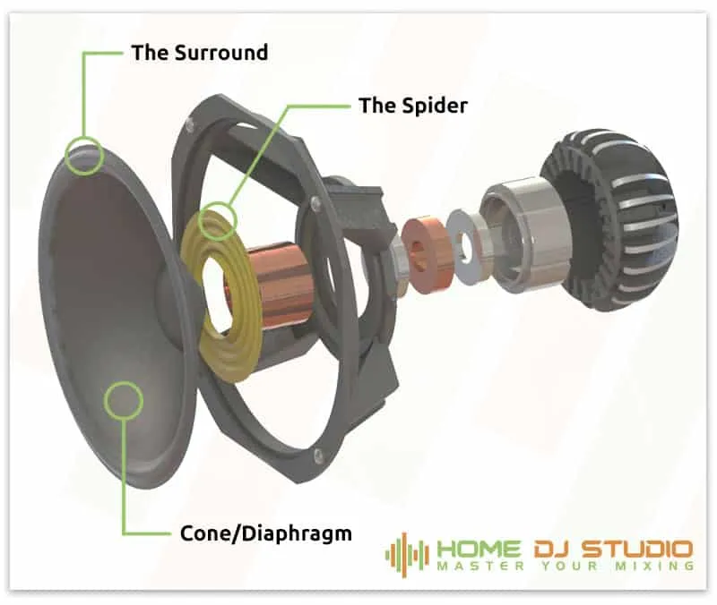 Speaker Anatomy.