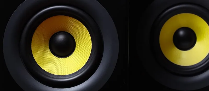 Close up photo of two subwoofers.